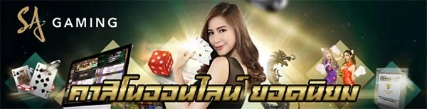 ภาพประกอบค่ายเกม SA